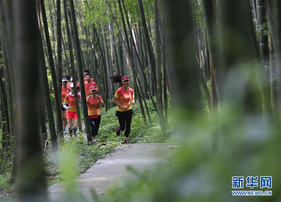 #（社会）（4）跑步山林间