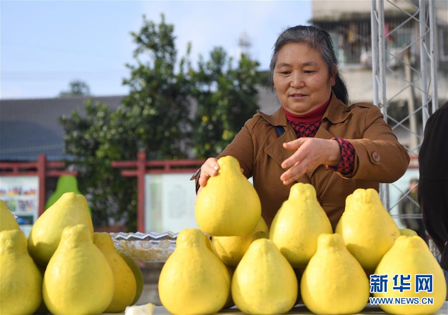 （新华全媒头条·走向我们的小康生活·图文互动）（11）大城大乡的“幸福协奏曲”——重庆推动高质量发展创造高品质生活纪事