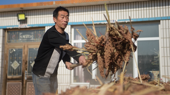 内蒙古奈曼旗互利村闯出产业致富之路