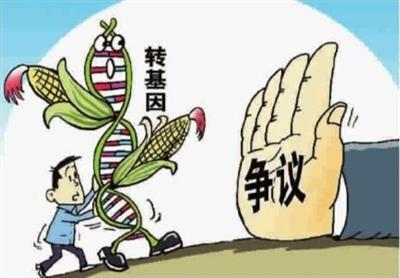 韩长赋：我国未批准任何一种转基因粮食作物商业化种植